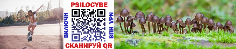 Псилоцибиновые грибы Psilocybe  Тейково 